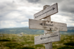 دور الإفصاح والحوكمة البيئية والاجتماعية والمؤسسية في مشهد المخاطر المتطور