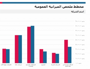 نموذج عمل تقرير ملخص الميزانية