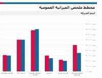 نموذج عمل تقرير ملخص الميزانية