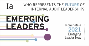 ما الذي يميز المدقق الداخلي الاستثنائي ومن يمثل مستقبل المهنة؟