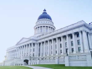 مواد تدريبية بعنوان“مقدمة في معايير المحاسبة الدولية للقطاع العام &quot;صادرة عن الاتحاد الدولي للمحاسبين