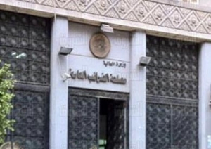 فيديو.. متحدثة شؤون الموازنة: نستهدف زيادة الحصيلة الضريبية المصرية