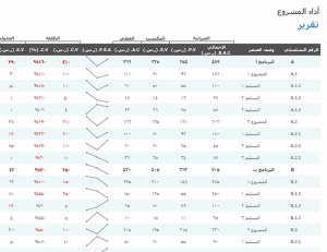 تقرير أداء المشروع