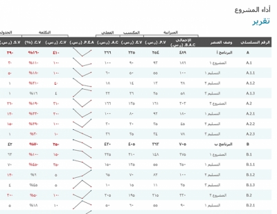 تقرير أداء المشروع