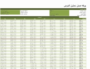 نموذج عمل ورقة عمل تحليل القرض