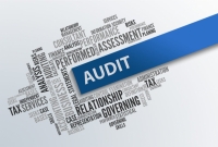 ‏ كيفية تحقيق اهداف المراجعة  How Audit Objectives are Met