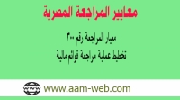 معيار المراجعة المصري رقم 300: تخطيط عملية مراجعة قوائم مالية