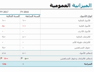 نموذج عمل الميزانية العمومية