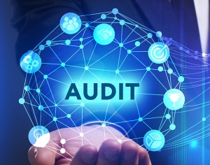 دليل ممارسات التدقيق الداخلي والاحتيال