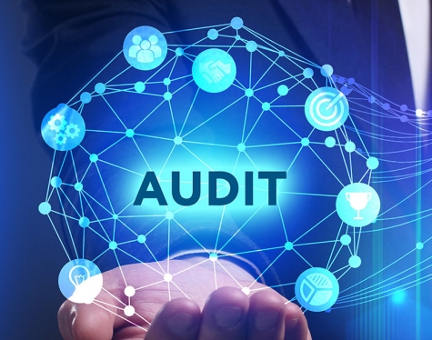 دليل ممارسات التدقيق الداخلي والاحتيال