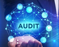 دليل ممارسات التدقيق الداخلي والاحتيال