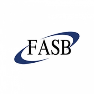 قاعدة مجلس معايير المحاسبة المالية (FASB) الجديدة سوف تكتشف خسائر لم تكن موجودة.