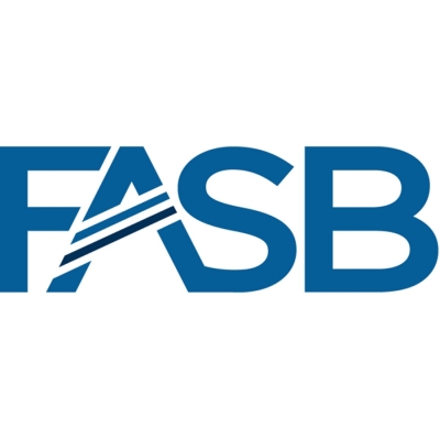 يوافق FASB على معيار الأصول المشفرة