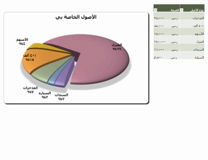 نموذج عمل مخطط القرن الـ 21 الدائري