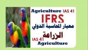 شرح معيار المحاسبة الدولي 41: الزراعة
