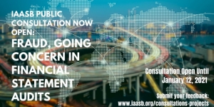 الاحتيال والاستمرارية في تدقيق القوائم المالية