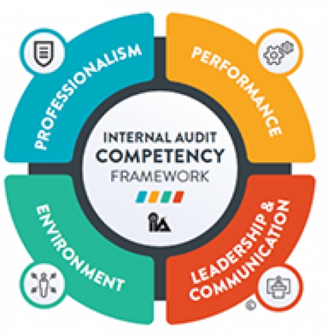 دراسة تقييم الكفاءات في التدقيق الداخلي 2020