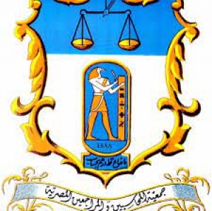 من هي جمعية المحاسبين والمراجعين المصرية